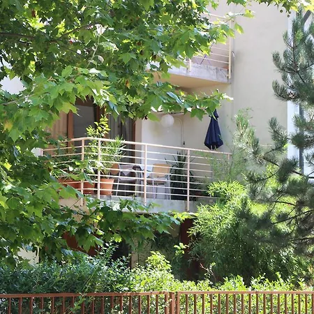 Mandarin Wellness شيوفوك