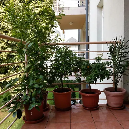 Mandarin Wellness شقة