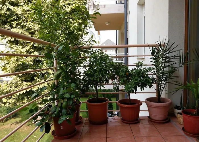 Mandarin Wellness アパート